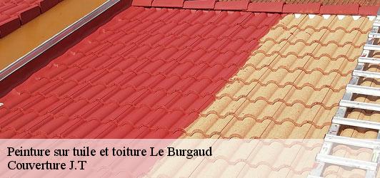 Peinture sur tuile et toiture  le-burgaud-31330 Couverture J.T