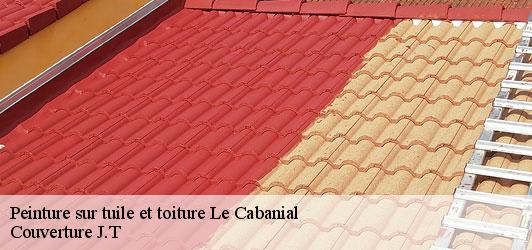 Peinture sur tuile et toiture  le-cabanial-31460 Couverture J.T