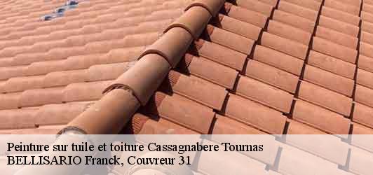 Peinture sur tuile et toiture  cassagnabere-tournas-31420 BELLISARIO Franck, Couvreur 31
