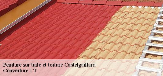 Peinture sur tuile et toiture  castelgaillard-31230 Couverture J.T