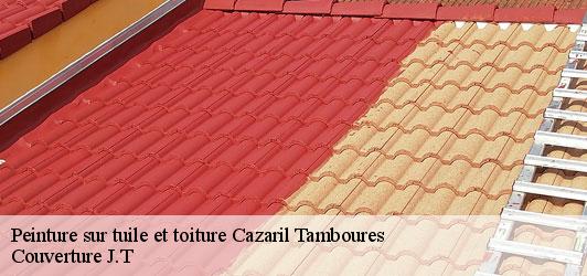 Peinture sur tuile et toiture  cazaril-tamboures-31580 Couverture J.T