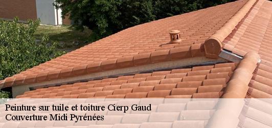 Peinture sur tuile et toiture  cierp-gaud-31440 Couverture Midi Pyrénées
