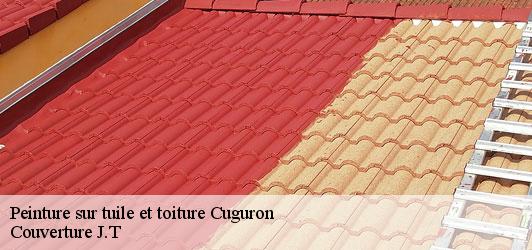 Peinture sur tuile et toiture  cuguron-31210 Couverture J.T