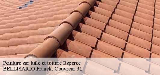 Peinture sur tuile et toiture  esperce-31190 BELLISARIO Franck, Couvreur 31
