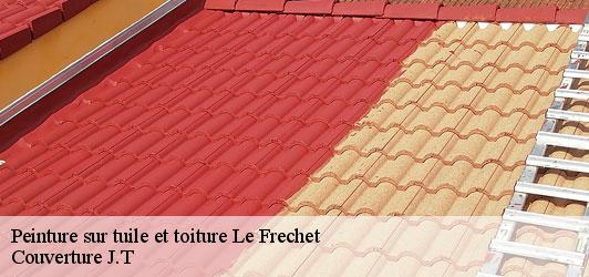 Peinture sur tuile et toiture  le-frechet-31360 Couverture J.T