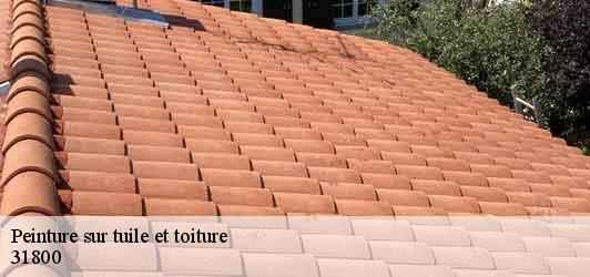 Peinture sur tuile et toiture  landorthe-31800 BELLISARIO Franck, Couvreur 31