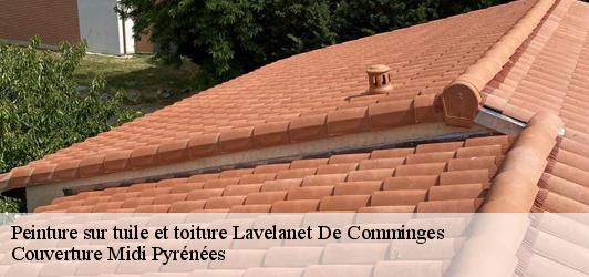 Peinture sur tuile et toiture  lavelanet-de-comminges-31220 Couverture Midi Pyrénées