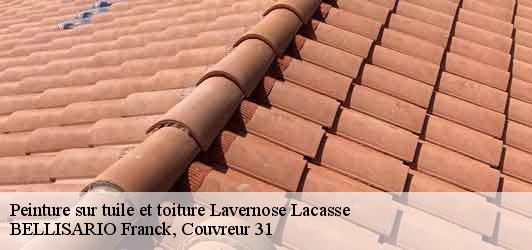 Peinture sur tuile et toiture  lavernose-lacasse-31410 BELLISARIO Franck, Couvreur 31