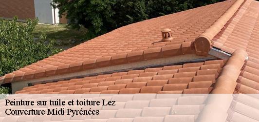 Peinture sur tuile et toiture  lez-31440 Couverture Midi Pyrénées
