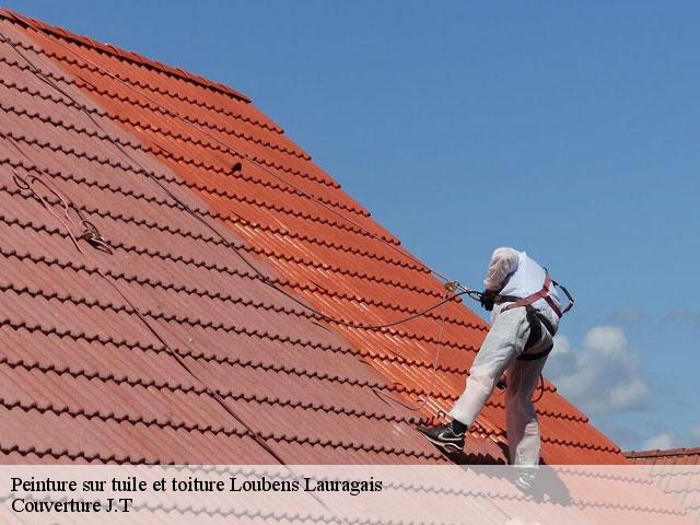 Peinture sur tuile et toiture  loubens-lauragais-31460 Couverture J.T