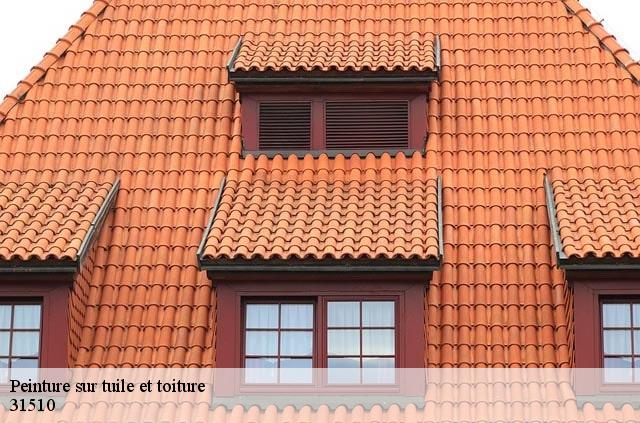 Peinture sur tuile et toiture 31510