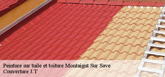 Peinture sur tuile et toiture  montaigut-sur-save-31530 Couverture J.T