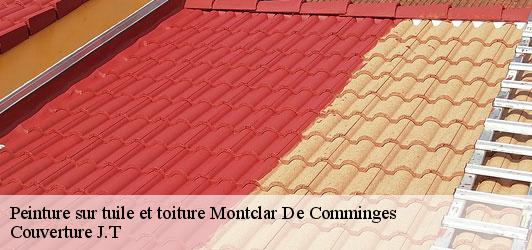 Peinture sur tuile et toiture  montclar-de-comminges-31220 Couverture J.T