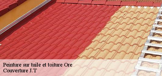 Peinture sur tuile et toiture  ore-31510 Couverture J.T