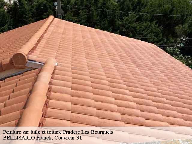 Peinture sur tuile et toiture  pradere-les-bourguets-31530 BELLISARIO Franck, Couvreur 31