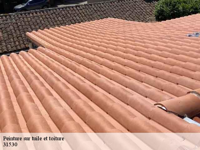 Peinture sur tuile et toiture  pradere-les-bourguets-31530 BELLISARIO Franck, Couvreur 31