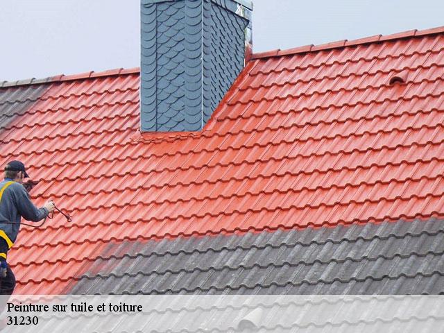Peinture sur tuile et toiture  puymaurin-31230 Couverture J.T