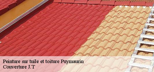 Peinture sur tuile et toiture  puymaurin-31230 Couverture J.T