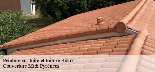 Peinture sur tuile et toiture  rieux-31310 Couverture Midi Pyrénées