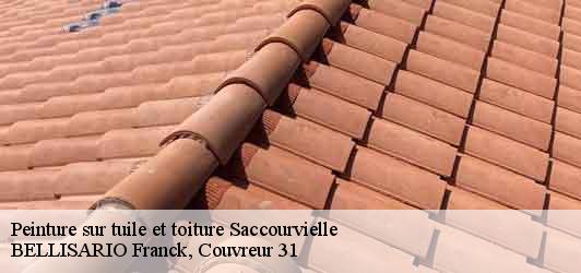 Peinture sur tuile et toiture  saccourvielle-31110 BELLISARIO Franck, Couvreur 31