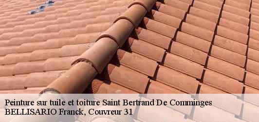 Peinture sur tuile et toiture  saint-bertrand-de-comminges-31510 BELLISARIO Franck, Couvreur 31
