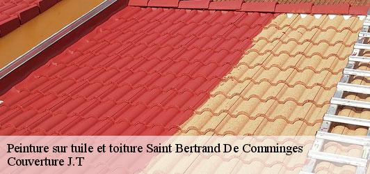 Peinture sur tuile et toiture  saint-bertrand-de-comminges-31510 Couverture J.T