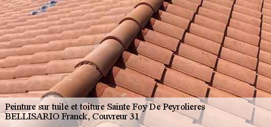 Peinture sur tuile et toiture  sainte-foy-de-peyrolieres-31470 BELLISARIO Franck, Couvreur 31