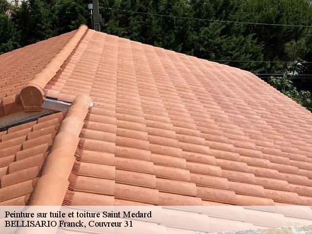 Peinture sur tuile et toiture  saint-medard-31360 BELLISARIO Franck, Couvreur 31