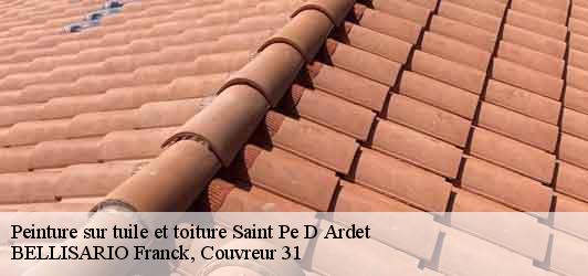Peinture sur tuile et toiture  saint-pe-d-ardet-31510 BELLISARIO Franck, Couvreur 31