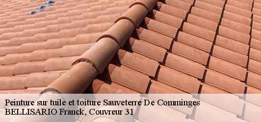 Peinture sur tuile et toiture  sauveterre-de-comminges-31510 BELLISARIO Franck, Couvreur 31