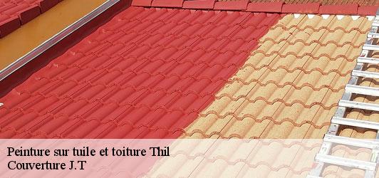 Peinture sur tuile et toiture  thil-31530 Couverture J.T