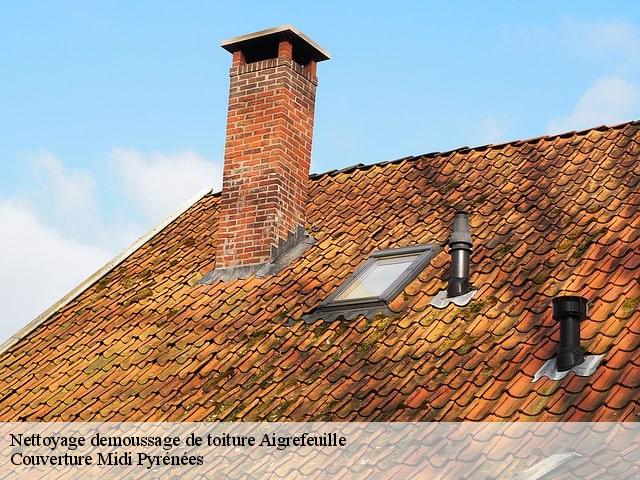 Nettoyage demoussage de toiture  aigrefeuille-31280 Couverture Midi Pyrénées