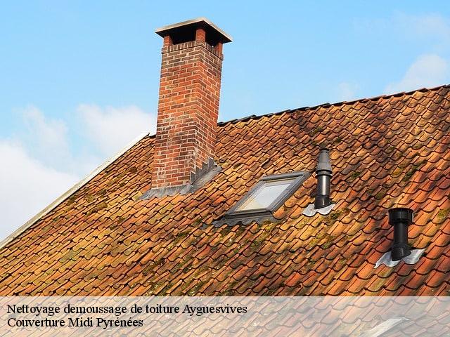 Nettoyage demoussage de toiture  ayguesvives-31450 Couverture Midi Pyrénées