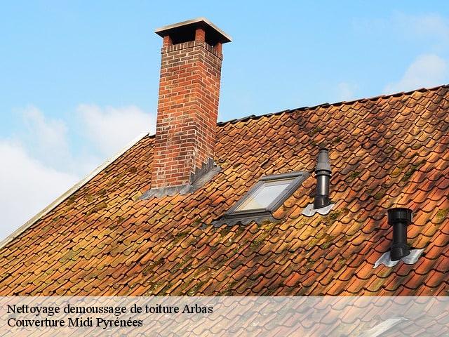 Nettoyage demoussage de toiture  arbas-31160 Couverture Midi Pyrénées