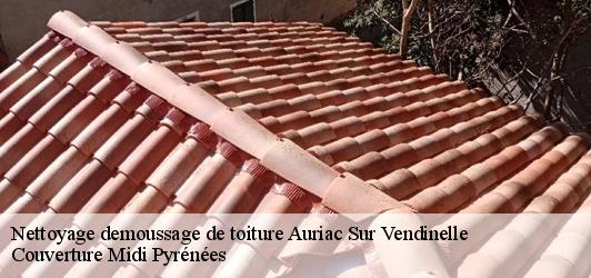 Nettoyage demoussage de toiture  auriac-sur-vendinelle-31460 Couverture Midi Pyrénées