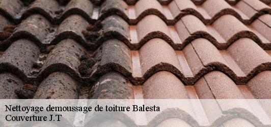 Nettoyage demoussage de toiture  balesta-31580 Couverture J.T