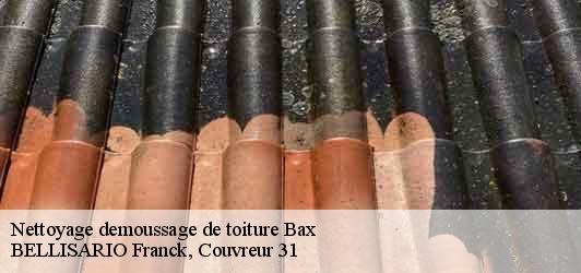 Nettoyage demoussage de toiture  bax-31310 BELLISARIO Franck, Couvreur 31