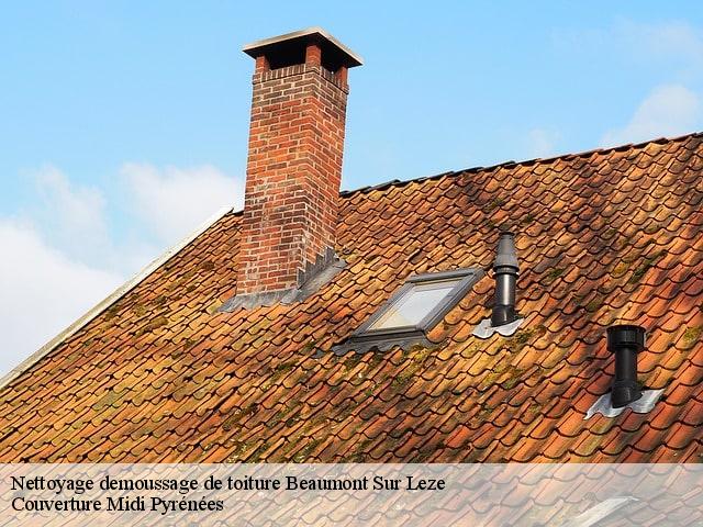 Nettoyage demoussage de toiture  beaumont-sur-leze-31870 Couverture Midi Pyrénées