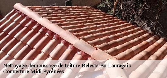 Nettoyage demoussage de toiture  belesta-en-lauragais-31540 Couverture Midi Pyrénées