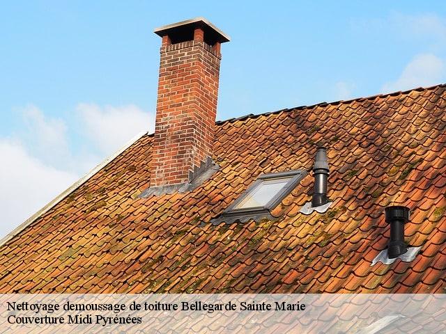 Nettoyage demoussage de toiture  bellegarde-sainte-marie-31530 Couverture Midi Pyrénées