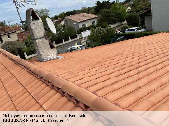 Nettoyage demoussage de toiture  boissede-31230 BELLISARIO Franck, Couvreur 31