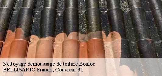 Nettoyage demoussage de toiture  bouloc-31620 BELLISARIO Franck, Couvreur 31