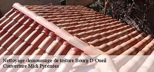Nettoyage demoussage de toiture  bourg-d-oueil-31110 Couverture Midi Pyrénées