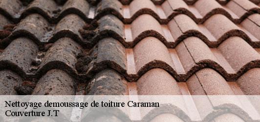 Nettoyage demoussage de toiture caraman-31460 Couverture J.T
