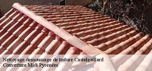 Nettoyage demoussage de toiture  castelgaillard-31230 Couverture Midi Pyrénées