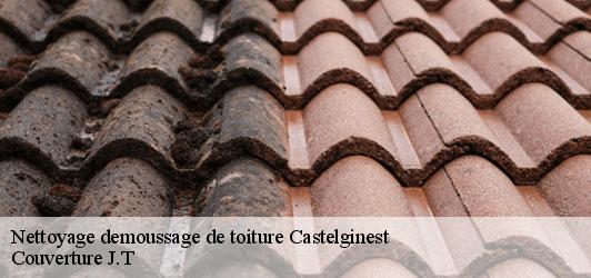 Nettoyage demoussage de toiture  castelginest-31780 Couverture J.T