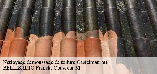 Nettoyage demoussage de toiture  castelmaurou-31180 BELLISARIO Franck, Couvreur 31