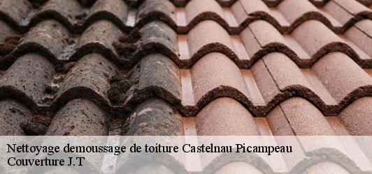 Nettoyage demoussage de toiture  castelnau-picampeau-31430 Couverture J.T