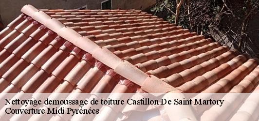 Nettoyage demoussage de toiture  castillon-de-saint-martory-31360 Couverture Midi Pyrénées