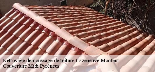 Nettoyage demoussage de toiture  cazeneuve-montaut-31420 Couverture Midi Pyrénées